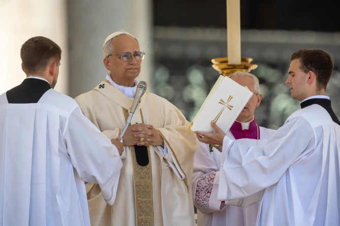 FULL TEXT: Homily of Pope Leo XIV on Jubilee for Families, Children, Grandparents, and the Elderly