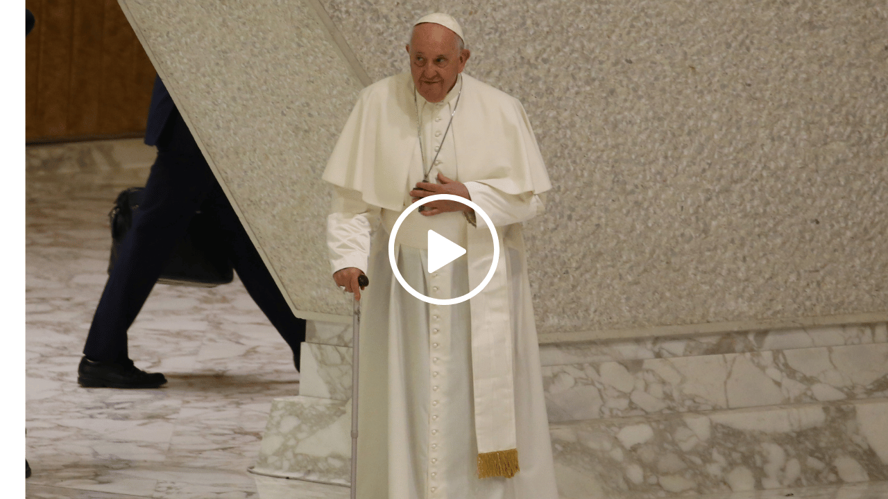 Peace, Life, and the Care for Creation – Pope Francis Continues Laudato Si’