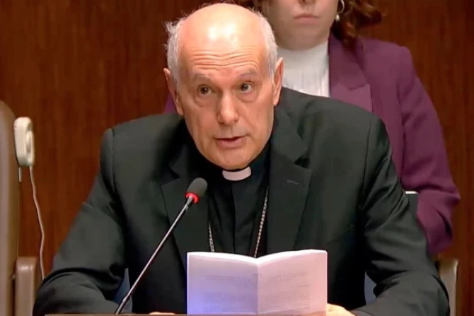 The Holy See at the UN calls for urgent measures to protect families