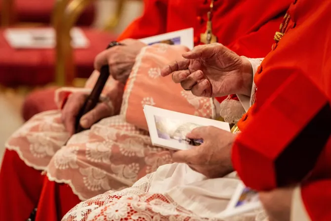 6 Key Points to Understand the Role of Cardinals in the Catholic Church