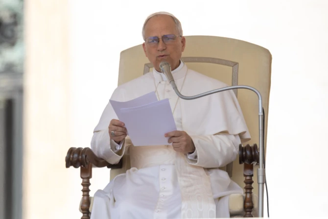 Pope Leo XIV appoints new Chinese bishop for Archdiocese of Fuzhou