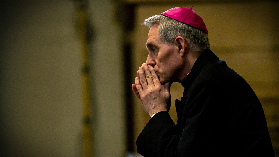 Archbishop Georg Gänswein Speaks on Pope Leo XIV, Pope Francis’ Passing, and Baltic War Realities