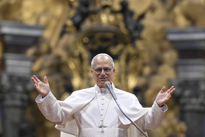 Pope Leo XIV invites seminarians to bear witness to ‘tenderness’ and ‘mercy’ of Christ
