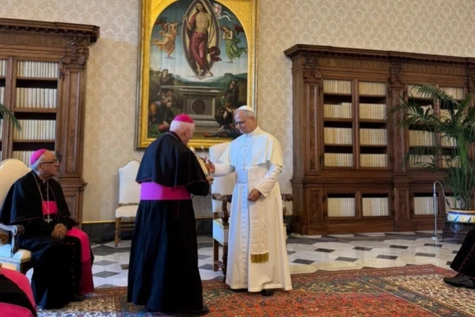 Bishops invite Pope Leo to visit Peru: ‘His presence will renew the hope of our people’