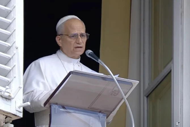 Pope Leo XIV urges ‘full respect for humanitarian law’ in Gaza