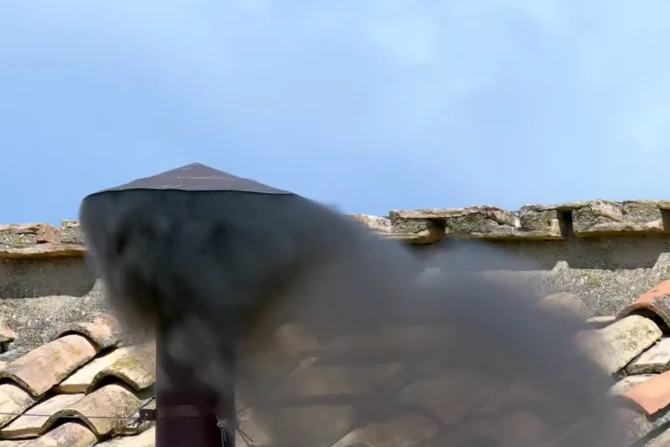 Demo 2 Image