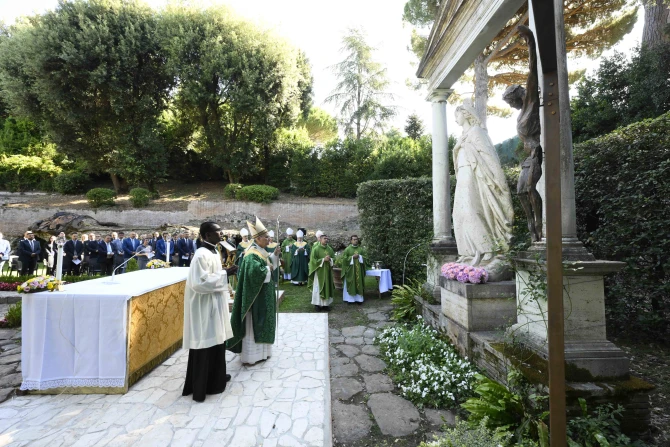 Pope Leo XIV supports ‘important and urgent’ Creation Day Sept. 1