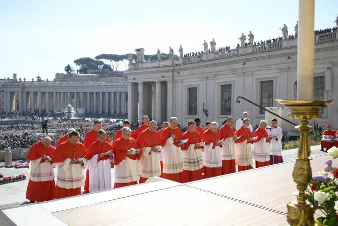 We asked the new cardinals: How should the Church evangelize the world today?